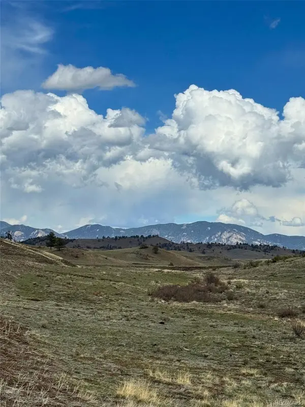391 Gulch RD, Hartsel, CO 80449