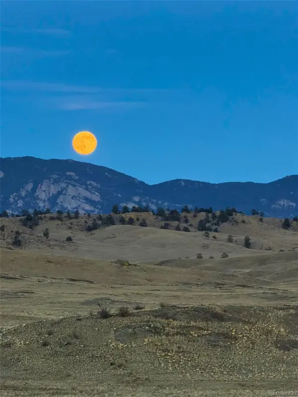 391 Gulch RD, Hartsel, CO 80449