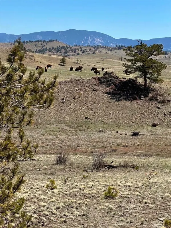 391 Gulch RD, Hartsel, CO 80449