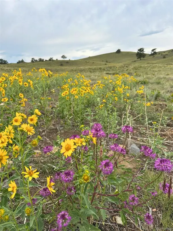 391 Gulch RD, Hartsel, CO 80449