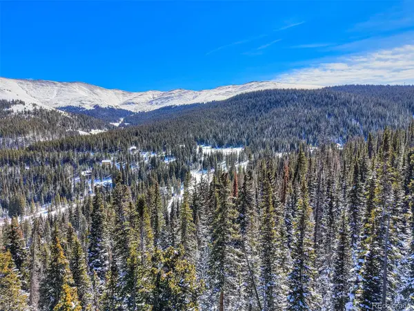 504 Carroll LN, Breckenridge, CO 80424