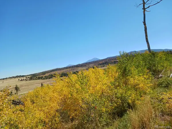 2067 Korlkoff LN, Fort Garland, CO 81133