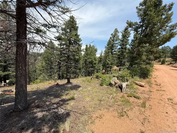 3546 N Mountain Estates RD, Florissant, CO 80816