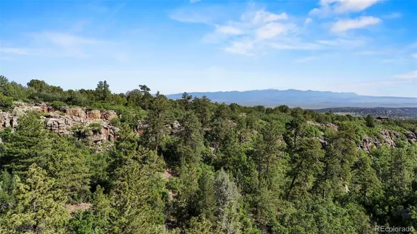 Old Homestead LN, Beulah, CO 81023