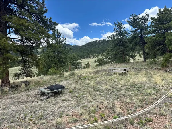 706 Bristlecone RD, Guffey, CO 80820