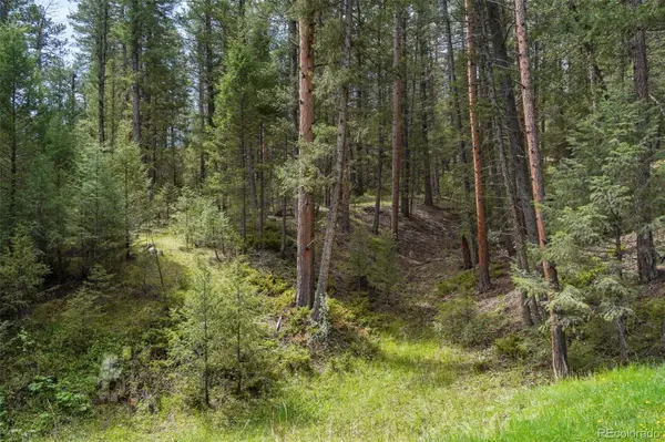 1424 High DR, Sedalia, CO 80135
