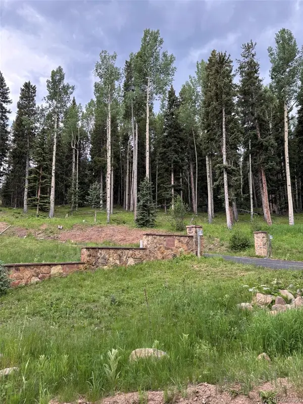 28651 Belle Point DR, Conifer, CO 80433