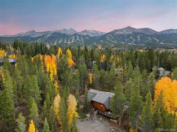 522 Wellington RD, Breckenridge, CO 80424