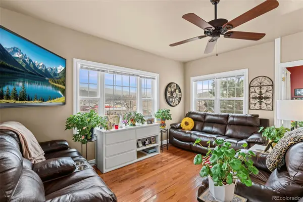 365 N Bridge ST, Nederland, CO 80466