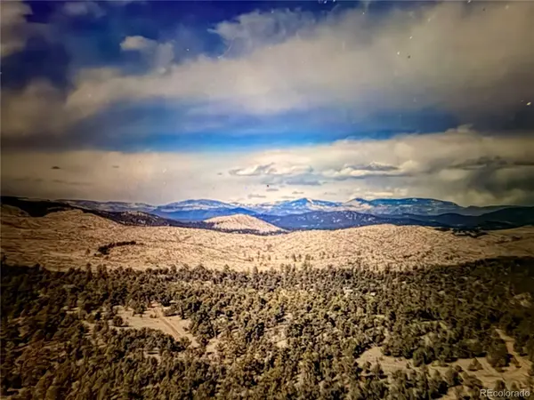 000 41st Trail, Cotopaxi, CO 81223