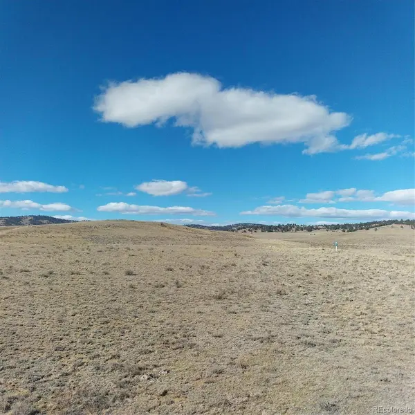 3552 Ute TRCE, Hartsel, CO 80449