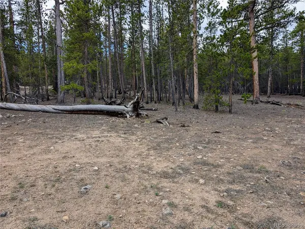 1073 Sequoia DR, Twin Lakes, CO 81251