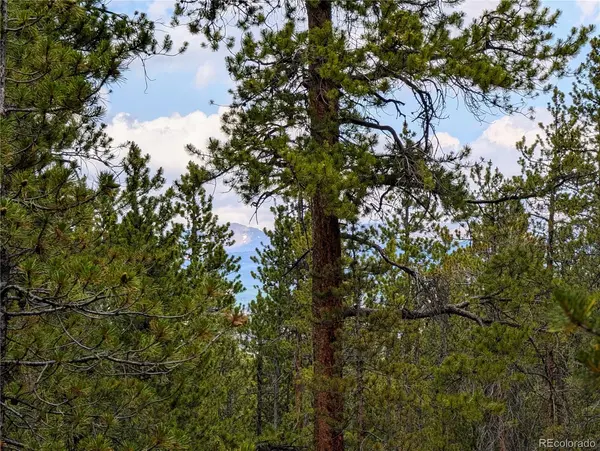 1073 Sequoia DR, Twin Lakes, CO 81251