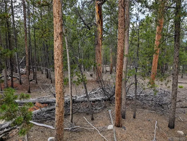 1073 Sequoia DR, Twin Lakes, CO 81251