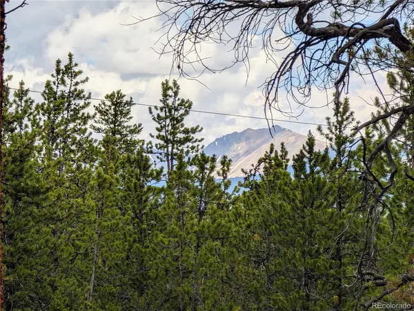 1073 Sequoia DR, Twin Lakes, CO 81251