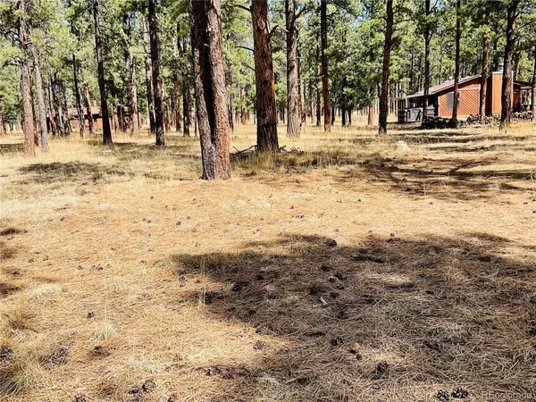 BLK 4 LOT 6, Weston, CO 81091