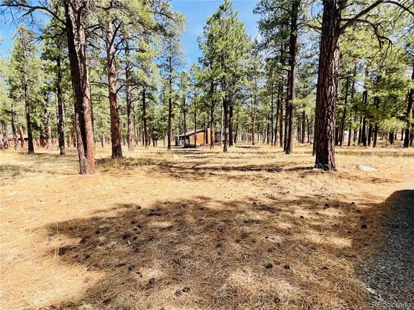BLK 4 LOT 6, Weston, CO 81091