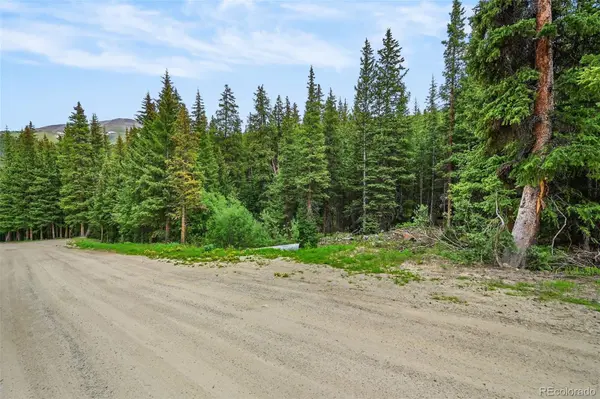 286 CTY Road 675, Breckenridge, CO 80424