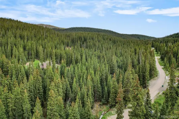 286 CTY Road 675, Breckenridge, CO 80424
