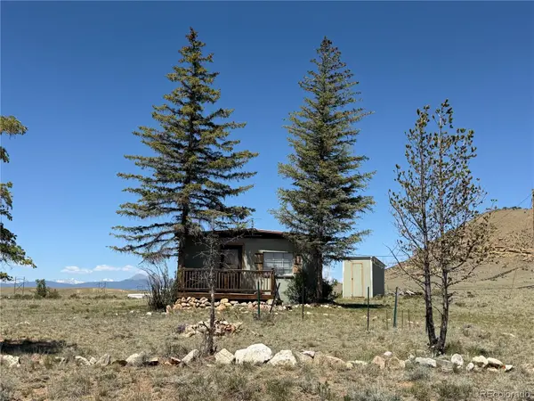 101 Doe ST, Hartsel, CO 80449