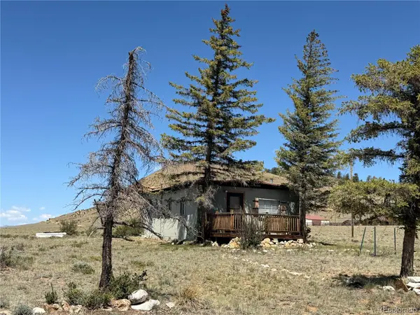 101 Doe ST, Hartsel, CO 80449