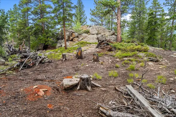 177 Sutherland RD, Allenspark, CO 80510