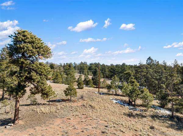 530 Columbine RD, Florissant, CO 80816