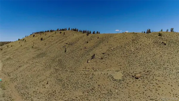 2261 Meteor Placer, Twin Lakes, CO 81251