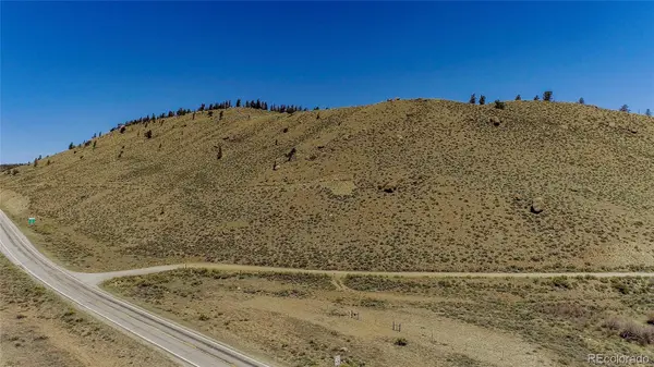 2261 Meteor Placer, Twin Lakes, CO 81251