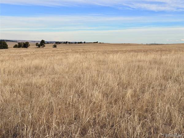07 County Road 122, Ramah, CO 80832