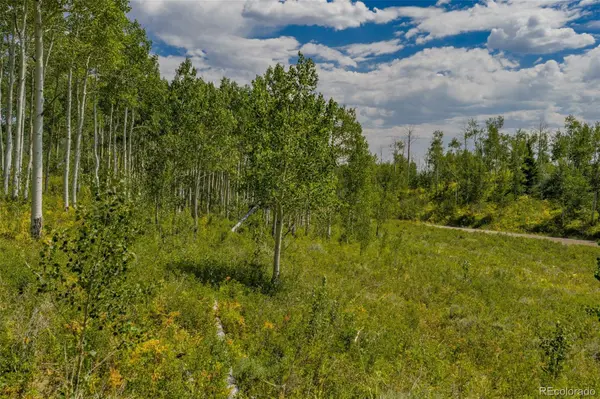 153 GCR 286, Kremmling, CO 80459