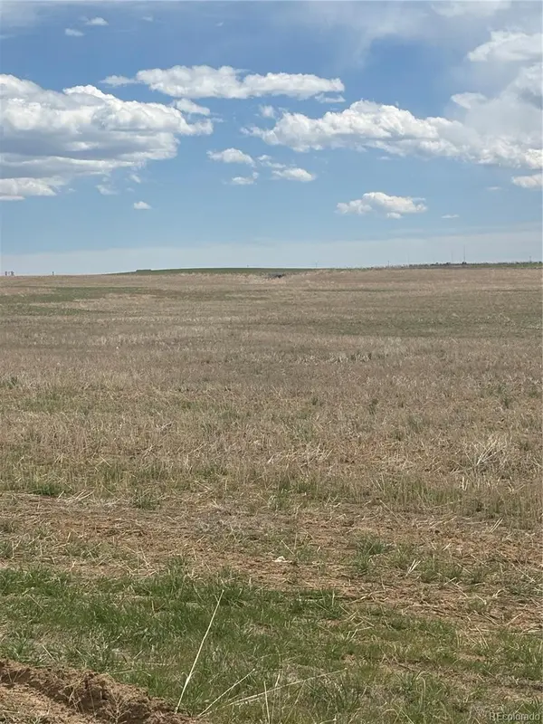 57075 E Maplewood PL, Strasburg, CO 80136