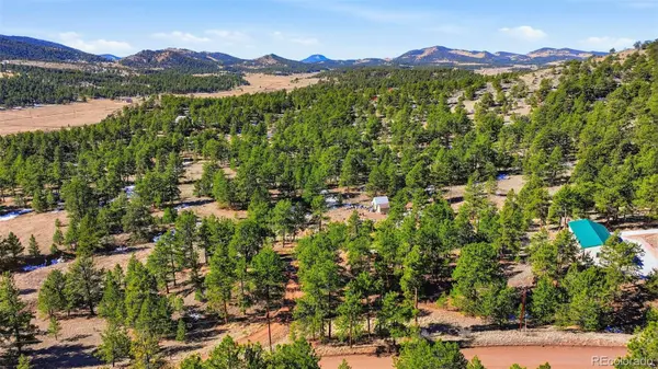 133 Wagon Wheel CIR, Guffey, CO 80820