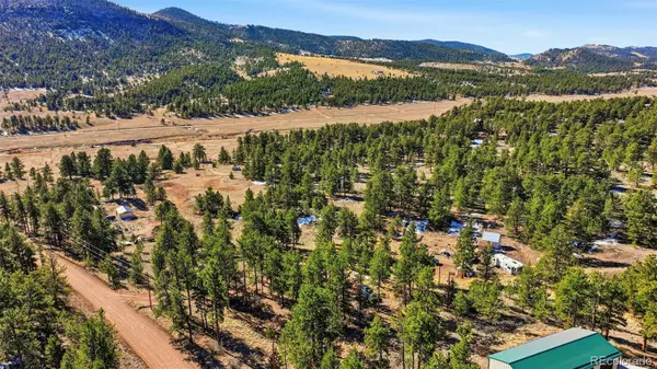 133 Wagon Wheel CIR, Guffey, CO 80820