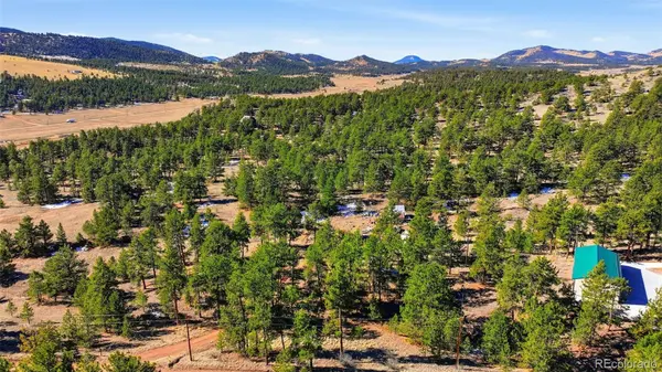 133 Wagon Wheel CIR, Guffey, CO 80820