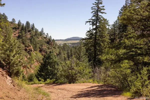 Balanced Rock RD, Palmer Lake, CO 80133