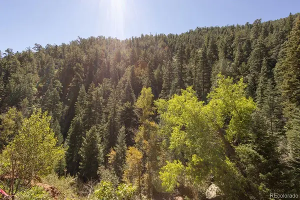 Balanced Rock RD, Palmer Lake, CO 80133