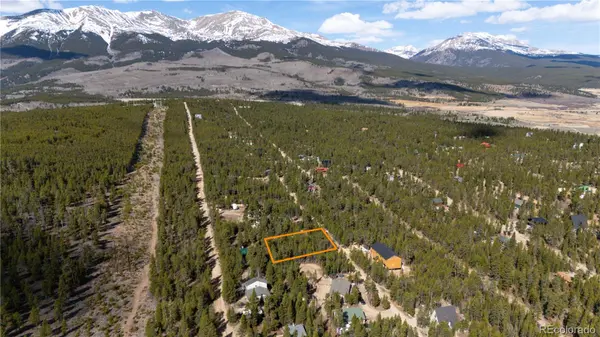 340 Hemlock DR, Twin Lakes, CO 80461