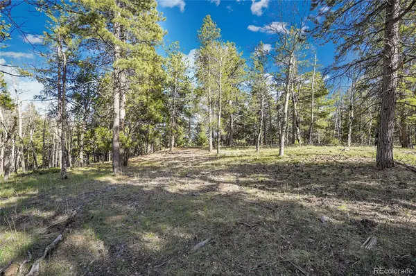 Molly Dr, Lot #3, Conifer, CO 80433
