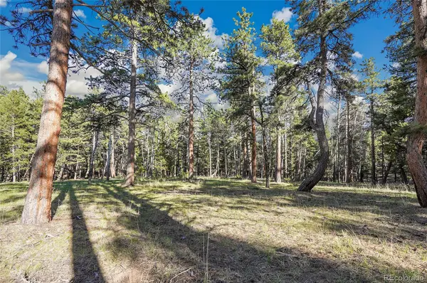 Molly Dr, Lot #3, Conifer, CO 80433