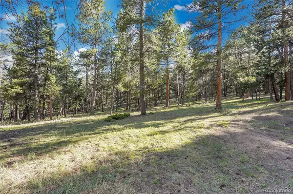 Molly Dr, Lot #3, Conifer, CO 80433