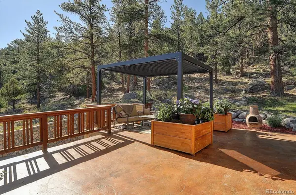 16050 Oppliger DR, Nathrop, CO 81236