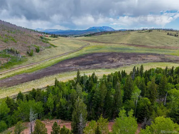 2348 Benton PL, Fort Garland, CO 81133