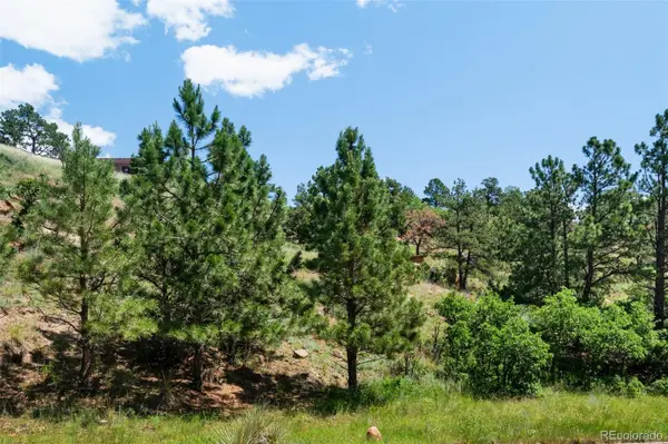 7137 Oak Valley DR, Colorado Springs, CO 80919