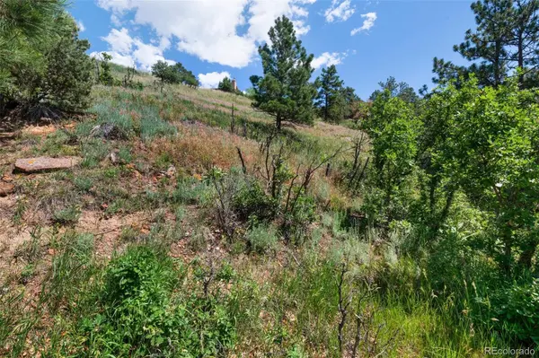 7137 Oak Valley DR, Colorado Springs, CO 80919