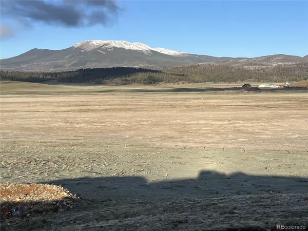 320 South Fork WAY, Hartsel, CO 80449