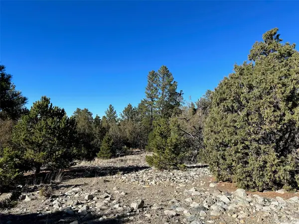 25 Pioneer RD, Mosca, CO 81144