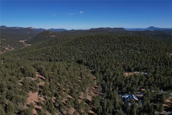 927 Forest DR, Bailey, CO 80421