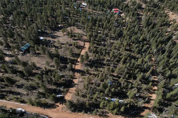 927 Forest DR, Bailey, CO 80421