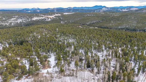 190 Hard Way RD, Ward, CO 80481